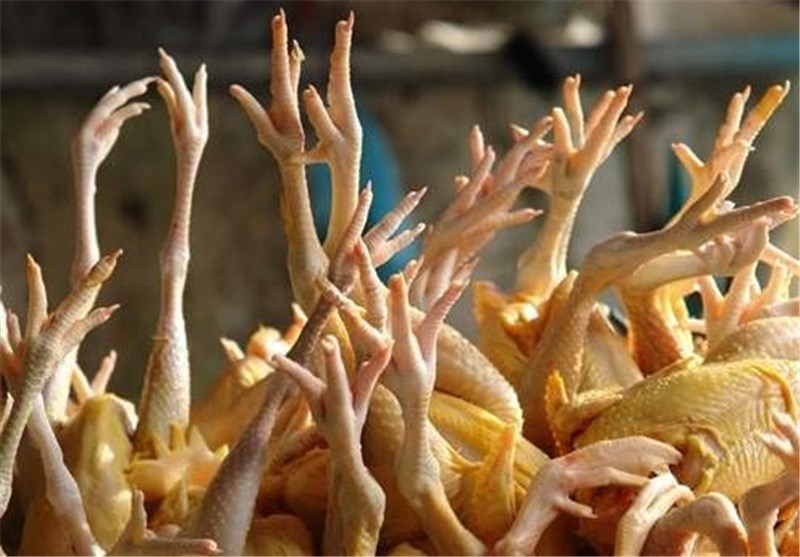 از مرغ به پای مرغ