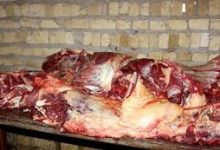 تکذیب توزیع گوشت الاغ در کردستان