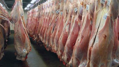 اختلاف بر سر قیمت گوشت، قصابی‌های سطح شهر را به تعطیلی کشاند