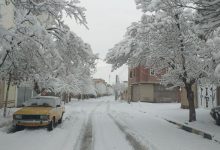 غافلگیری شهروندان در یک صبح برفی