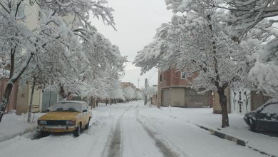 غافلگیری شهروندان در یک صبح برفی