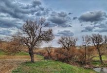 آب و هوای سقز