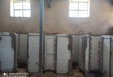 سرویس بهداشتی