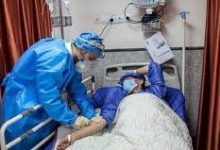 کرونا در سقز